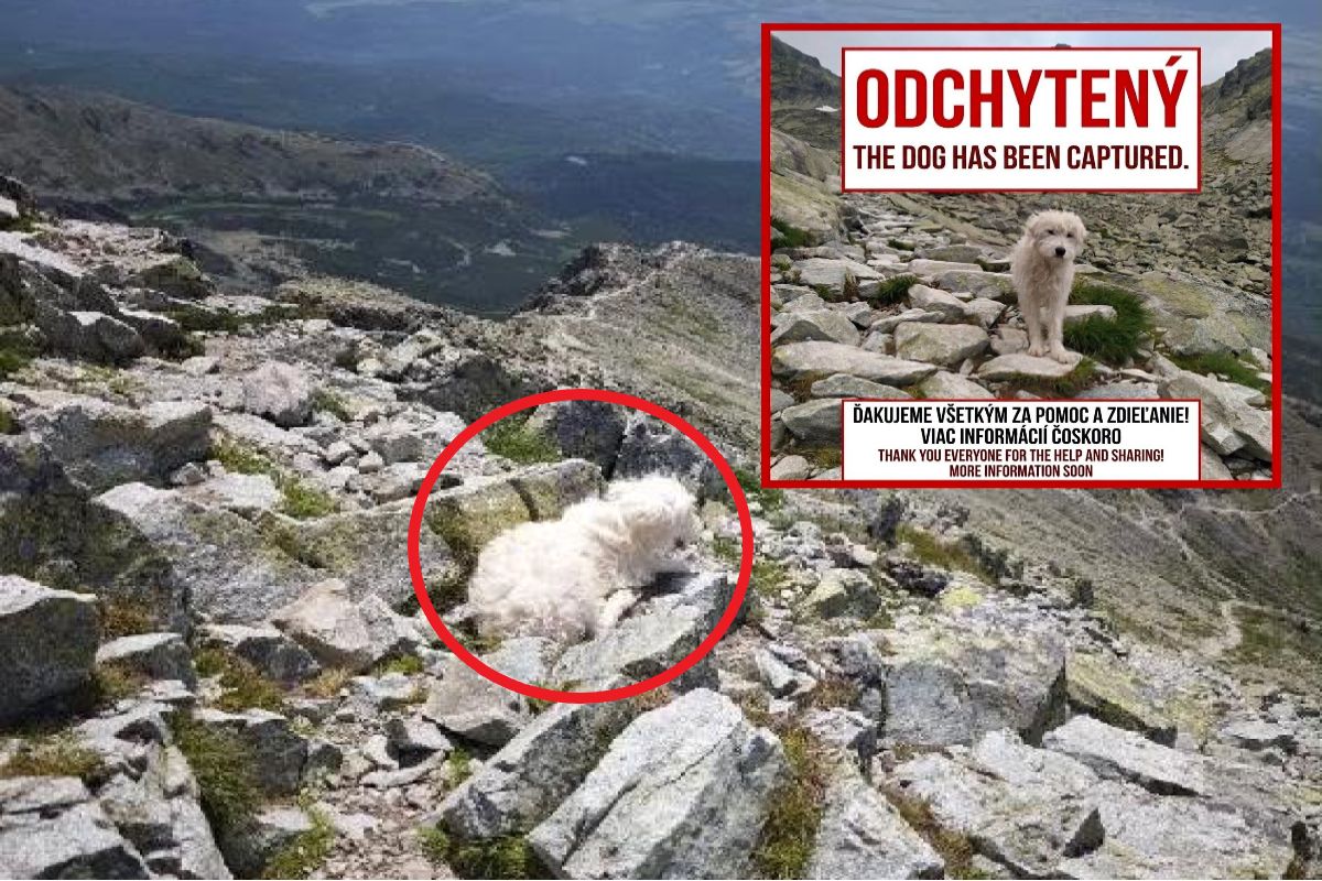 Błąkał się w Tatrach. Wreszcie dobre wieści. "Udało się"