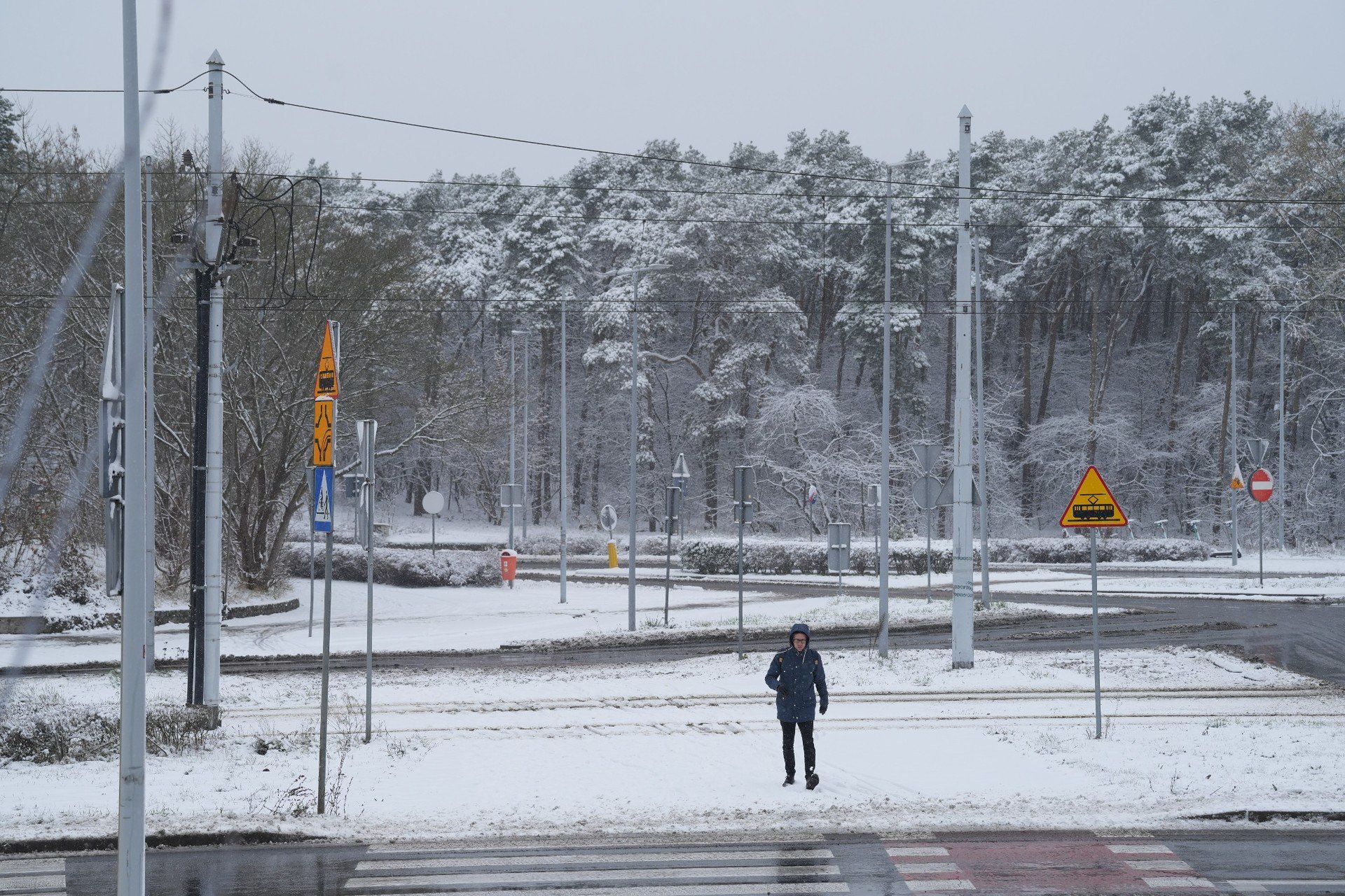 Toruń po ataku zimy