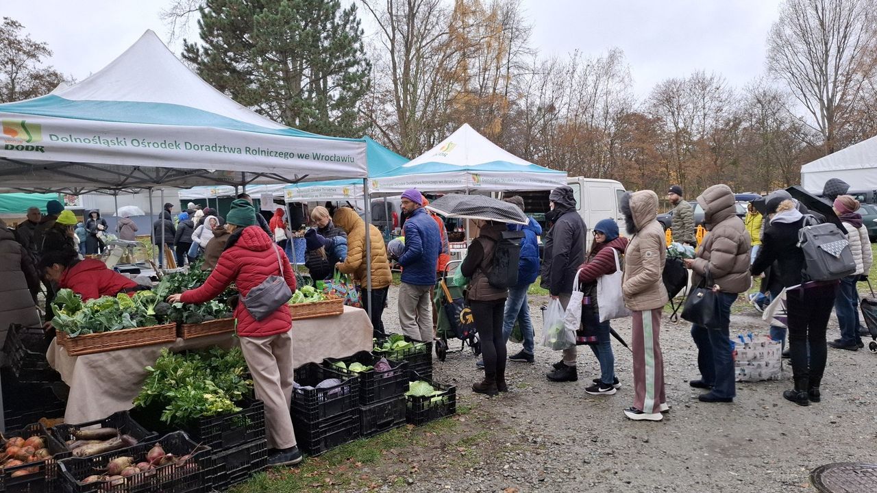 Wrocław: Dolnośląski Targ Rolny kusi smakami prosto od rolników