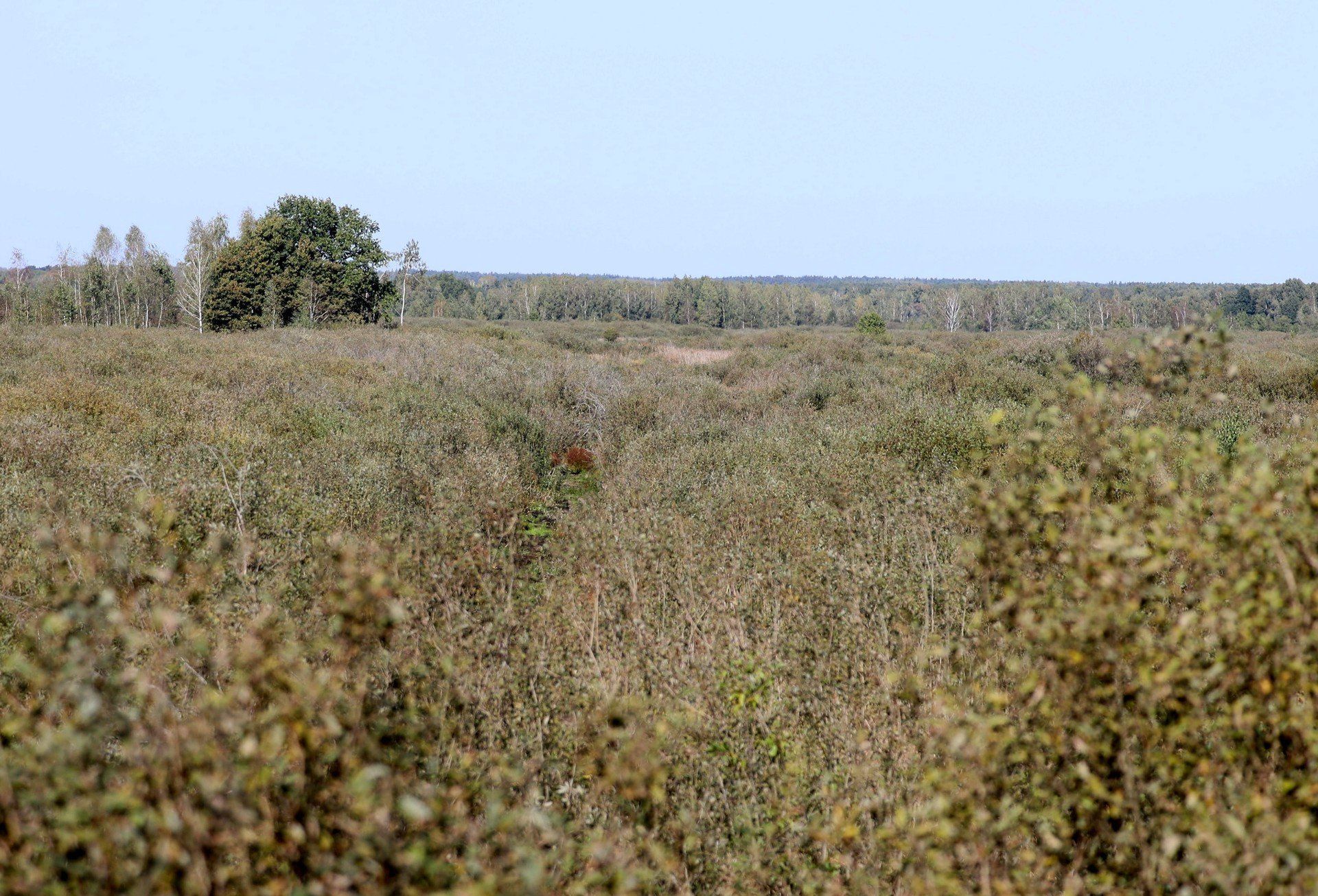 Jesienny spacer po Poleskim Parku Narodowym: historia, przyroda i chwile wyciszenia