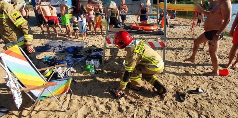 Wąż grasował na plaży