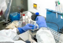 Omikron już w 77 krajach. Jest jeden typowy objaw zakażenia