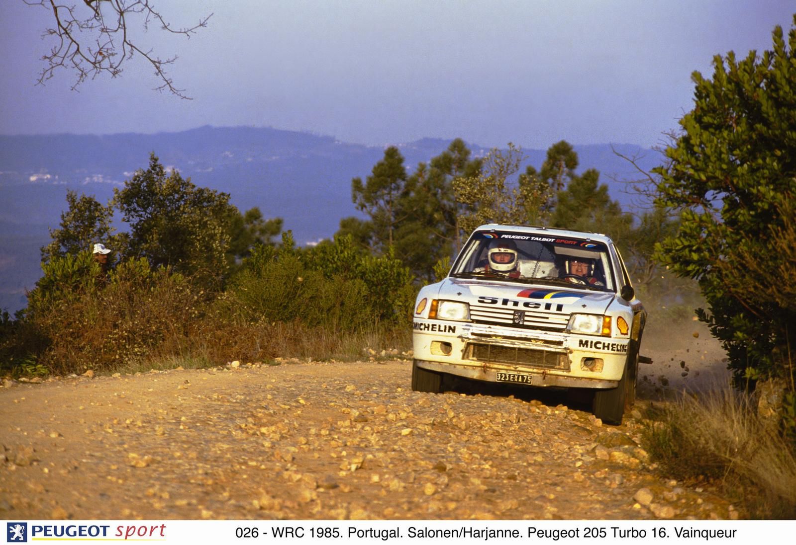 Peugeot 205 turbo 16 grupy B