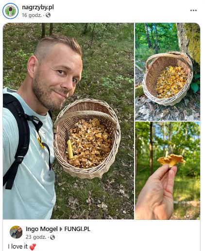 Niemiec pokazał, ile kurek zebrał.