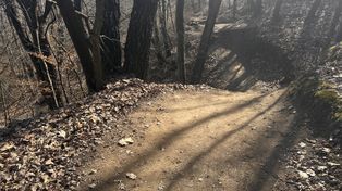 Gorlice: Kto dzisiaj dba o singletrack? Miejsce, które miało być rajem dla głodnych adrenaliny rowerzystów, jest zwyczajnie niebezpieczne