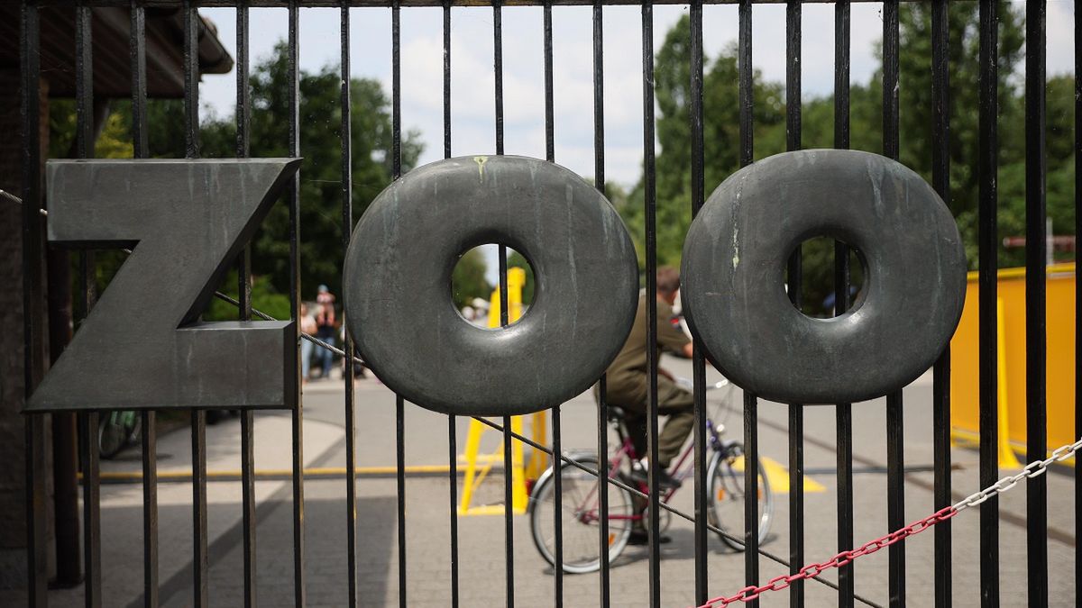 Warszawa, 18.07.2025. Brama wjazdowa do stołecznego zoo, 18 bm.  (ls/dw) PAP/Leszek Szymański
Leszek Szymański
Miejski Ogród Zoologiczny im. Antoniny i Jana Żabińskich, warszawskie zoo, zoo