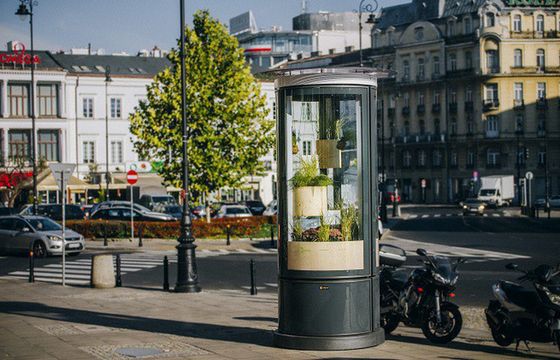 Warszawa promuje się roślinami wyrastającymi ze słupów reklamowych