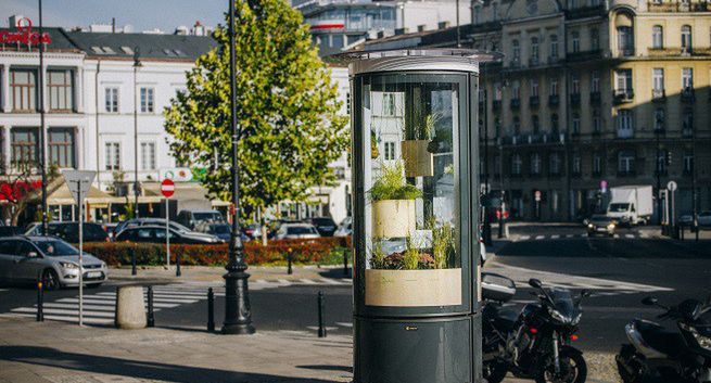 Warszawa promuje się roślinami wyrastającymi ze słupów reklamowych