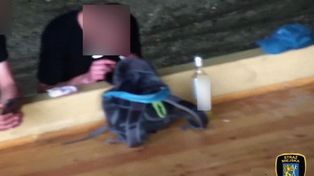 Wciągał kreskę pod okiem kamery monitoringu. 44-latek zatrzymany z narkotykami