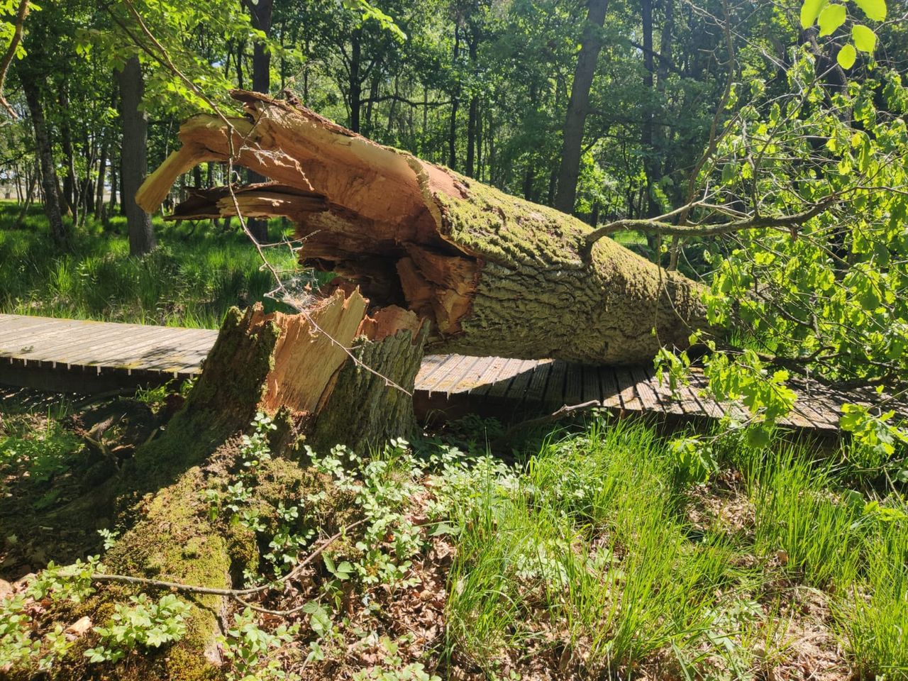 Utrudnienia dla turystów. Park narodowy apeluje