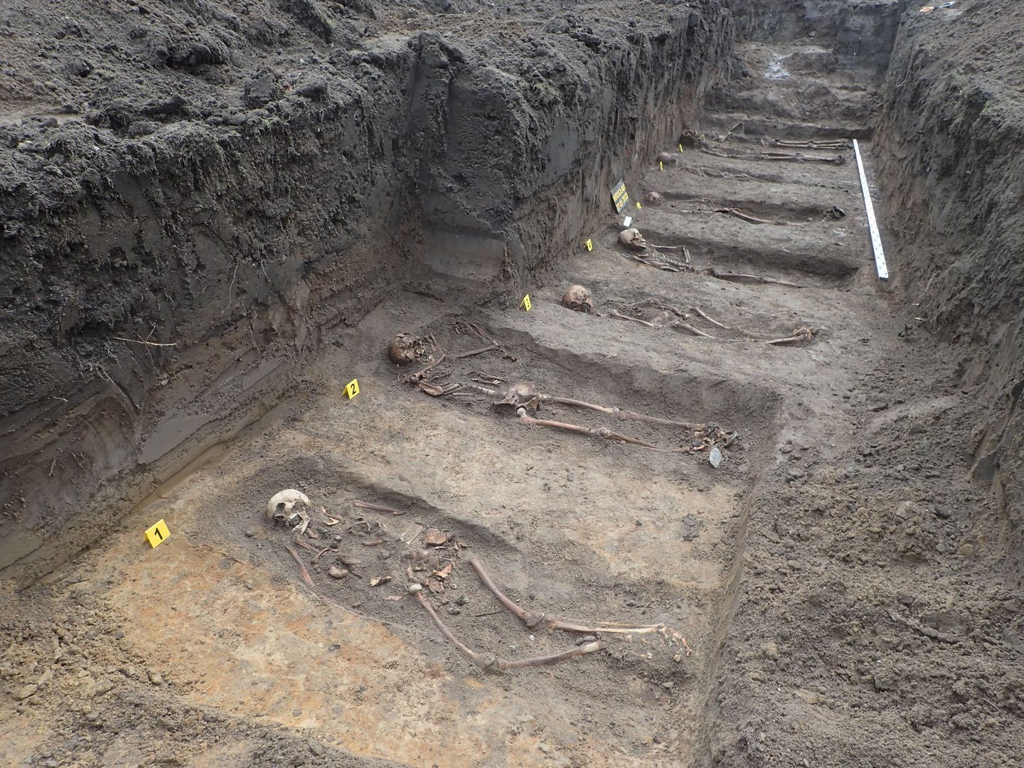 We Wrocławiu odkryto masowe groby. Dzieci, seniorzy, urzędnicy