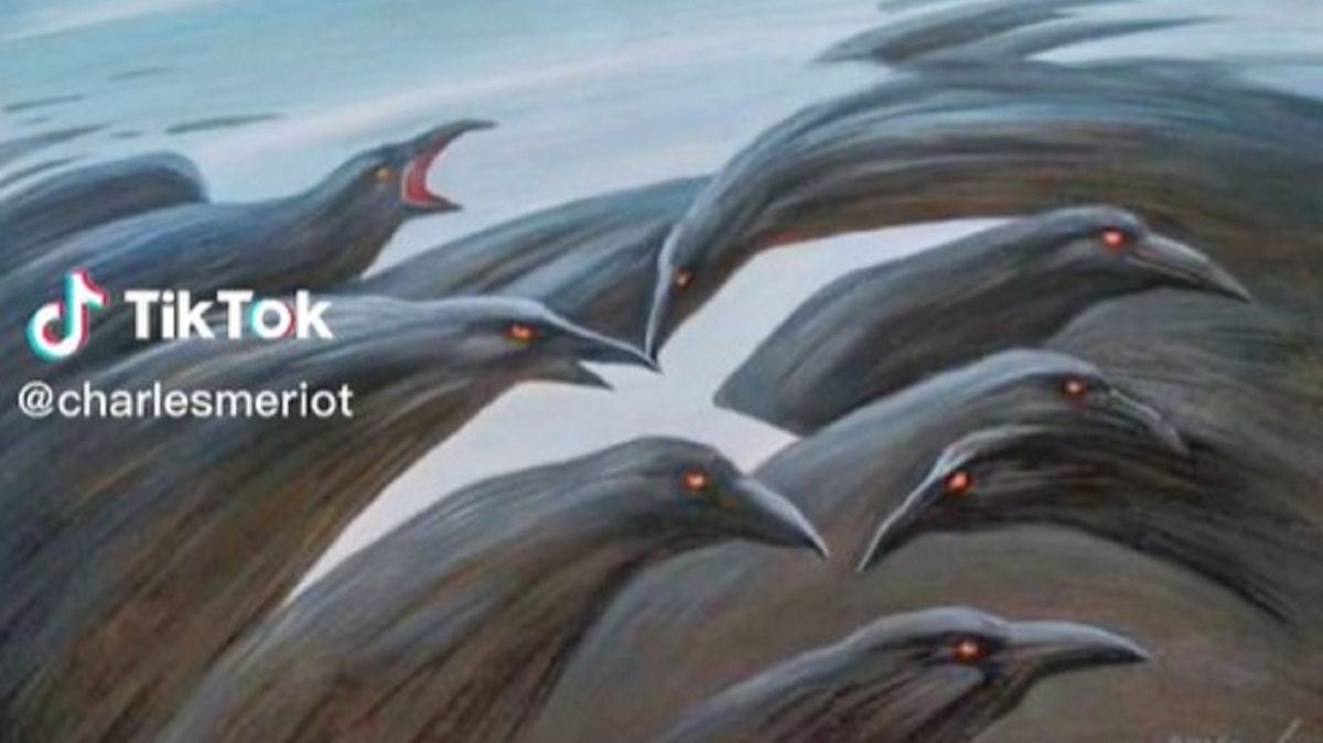 Co widzisz na obrazku? 