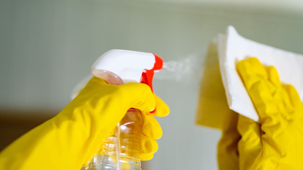 Środek przeciw kurzowi zrobisz z produktów, które masz w kuchni