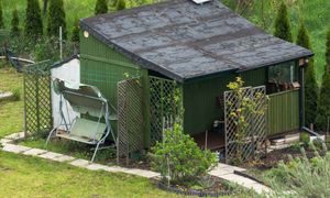 Masz abisynkę na działce? Grzywna to najmniejsza kara