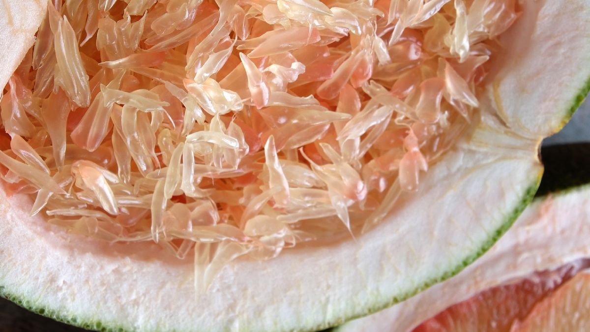 Grapefruit on wood background, tropical fruit
Grapefruit on wood background, tropical fruit, Vietnamese agriculture product, rich vitamin A, healthy eating, reduce cholesterol, prevent kidney stones, oxidation, anti cancer, make lose weight
xuanhuongho
Grapefruit, Fruit, Food, Wooden Background