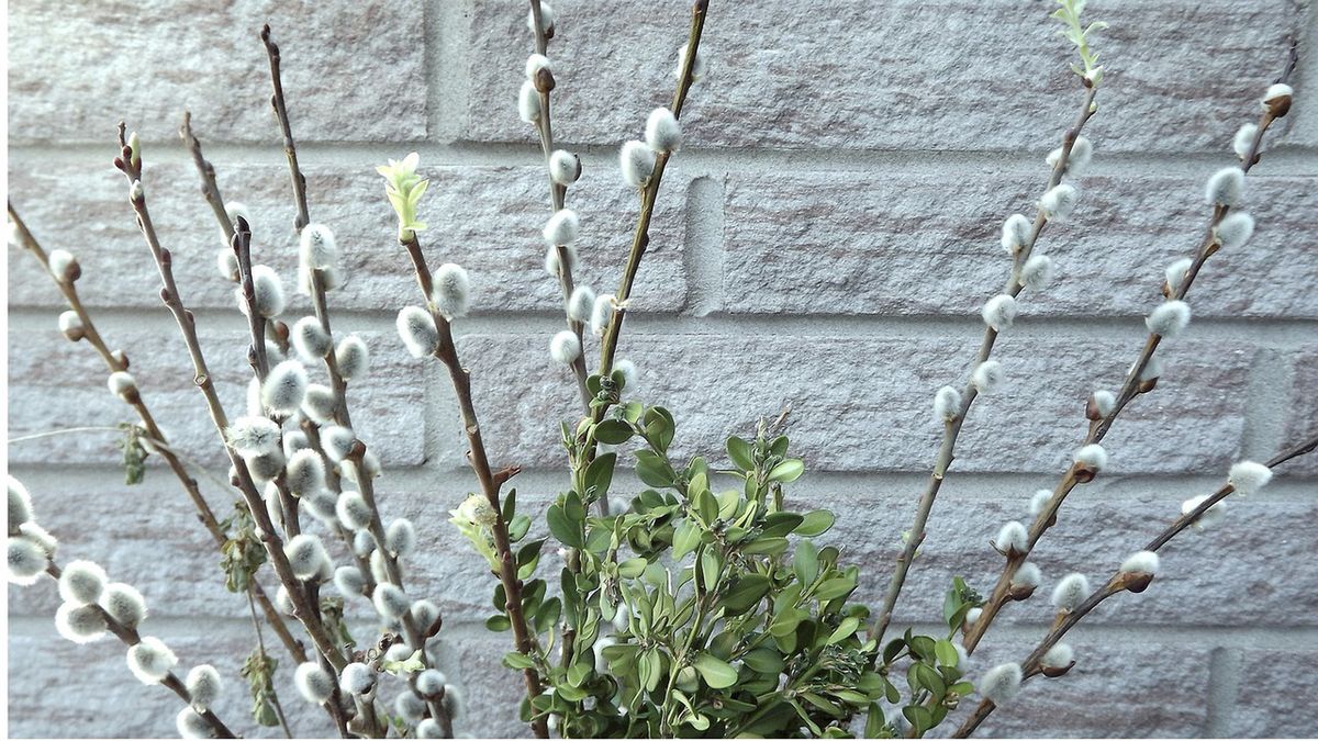 Jak przygotować gaik wielkanocny?