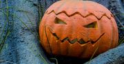 Słońce czy chmury? Sprawdź, jaką pogodę przyniesie Halloween 2024