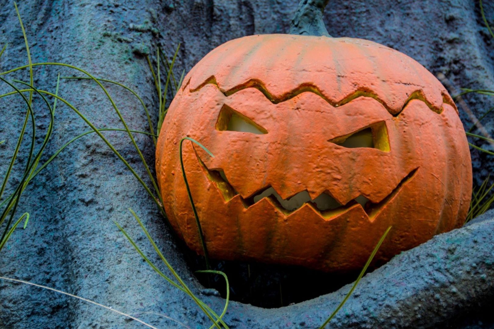 Słońce czy chmury? Sprawdź, jaką pogodę przyniesie Halloween 2024