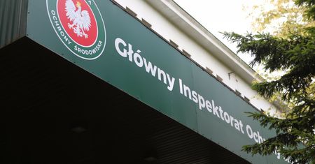 Nowe wyniki badań Odry. Holandia podaje informacje
