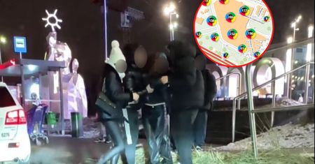 Nastolatki terroryzują centrum handlowe. Policja reaguje