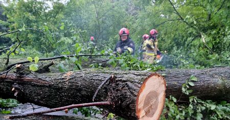 Potężna burza zaskoczyła pielgrzymów. Konar drzewa runął na wiernych
