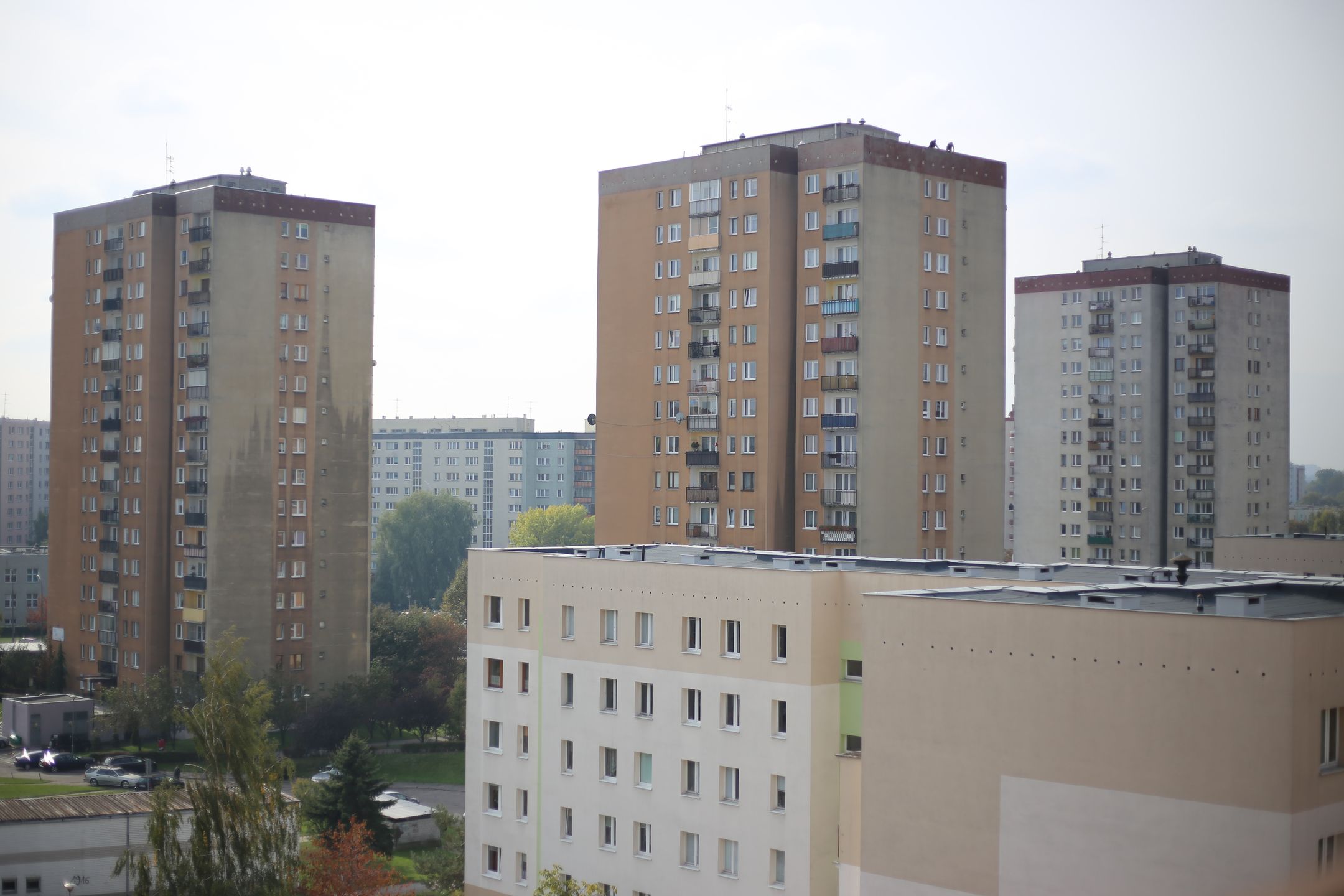 Canon EF 50 mm f/1.8 STM - niedroga przepustka do poważnej fotografii [recenzja] 63