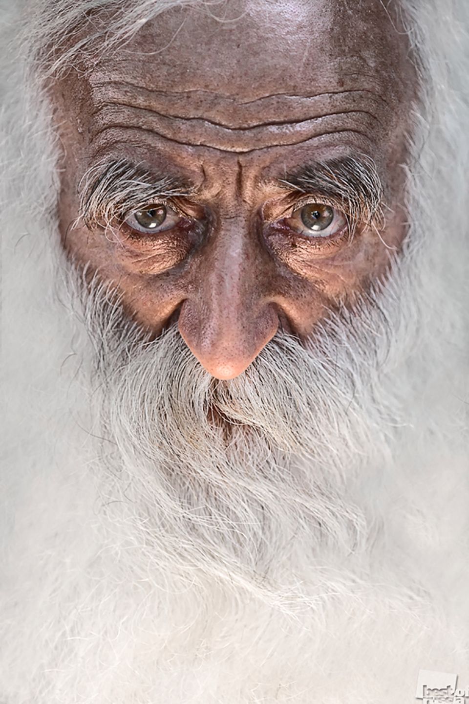 Nominowani do tytułu Najlepszego Fotografa Rosji w konkursie „Best of Russia 2016” 23