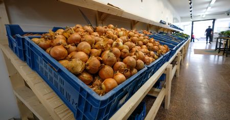Rekordowe ceny królowej polskich warzyw. "Cebuli nie ma i nie będzie"