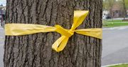 Umieść żółtą wstążkę w ogrodzie. Uciążliwy problem zniknie w mig