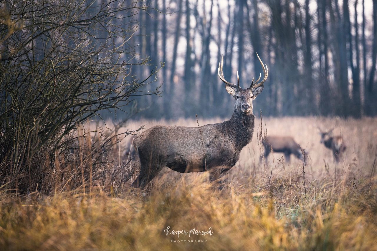 Dlaczego góry, a nie na przykład Mazury, do których masz bliżej?