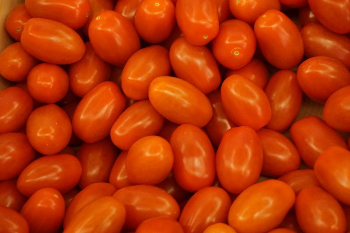 Import warzyw z Maroka uderzy w producentów pomidorów?