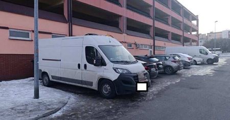Pies zamknięty w samochodzie na mrozie. Interweniowały służby!