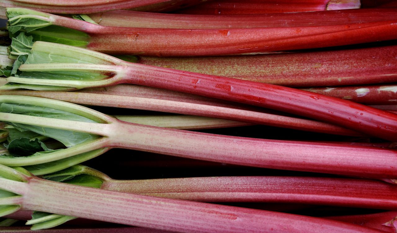 rhubarb