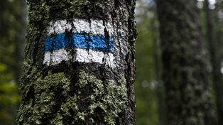 Magurski Park Narodowy: odcinek niebieskiego szlaku wiodący z Ożennej w kierunku granicy został zamknięty do odwołania