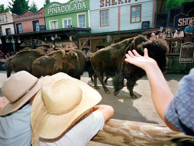 Westernowe miasteczko i bizony w Niemczech