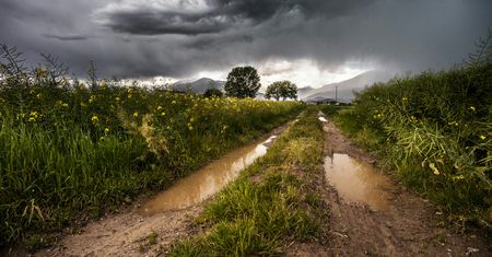Pierwsze wiosenne burze na horyzoncie. Gdzie dziś zagrzmi?