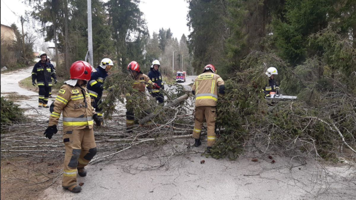 Usuwanie skutków wichur w Poniedziałek Wielkanocny. W Rabce Zdroju zginęły trzy osoby. 