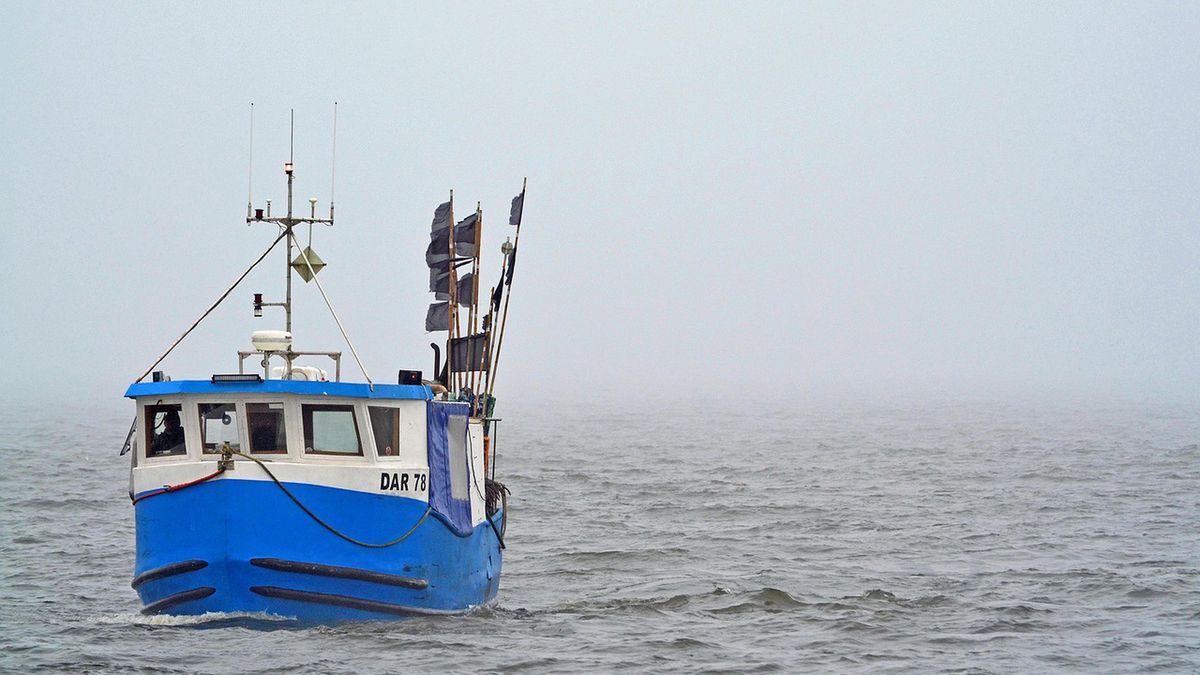 Zdjęcie ilustracyjne