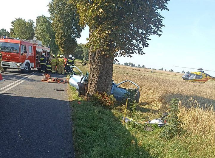 Wypadek koło Gniezna