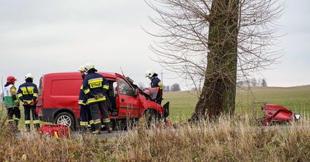 Kolejna śmierć na drodze