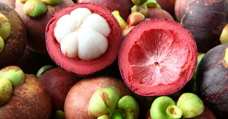Mangostan zwany jest "królem owoców". Właściwości mangostanu korzystnie wpływają na zdrowie dzieci i dorosłych