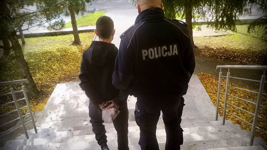 Fot. Licencjodawca