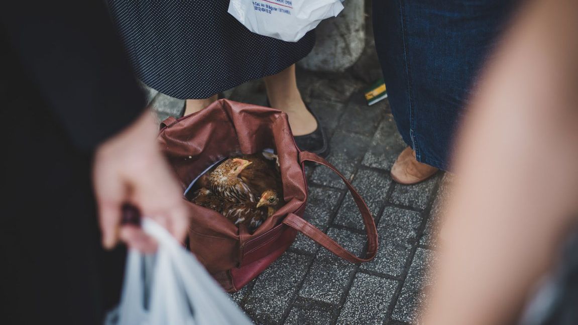 ”Słabe żarty i mocne zdjęcia” to specjalność Elżbiety Adamskiej vel "Nieśmigielskiej" 1