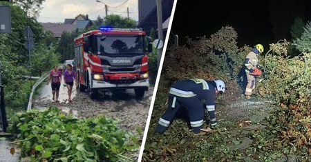 Nawałnice nad Polską. Powalone drzewa na drogach i cmentarzu