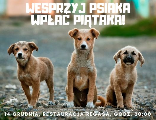 Wesprzyj Psiaka – Wpłać Piątaka już w ten piątek