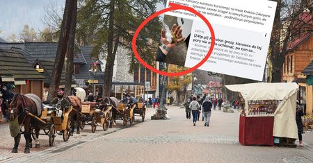 Kierowca autokaru o turystach w Zakopanem: Brak słów. Pokazał zdjęcia