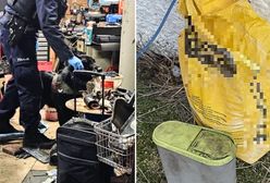 Wysadzili przystanek autobusowy. Odkrycie ich pogrążyło