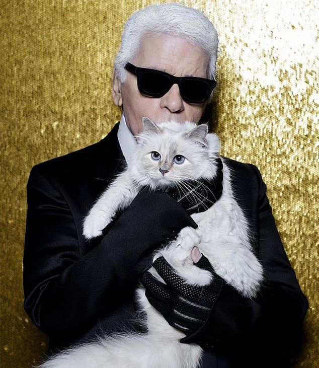 Zdaniem niektórych majątek Lagerfelda przypadnie jego kotu