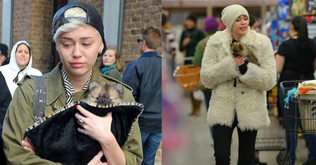 Miley: "Nie jestem gotowa POKOCHAĆ NOWEGO PIESKA!"