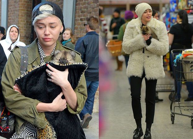 Miley: "Nie jestem gotowa POKOCHAĆ NOWEGO PIESKA!"